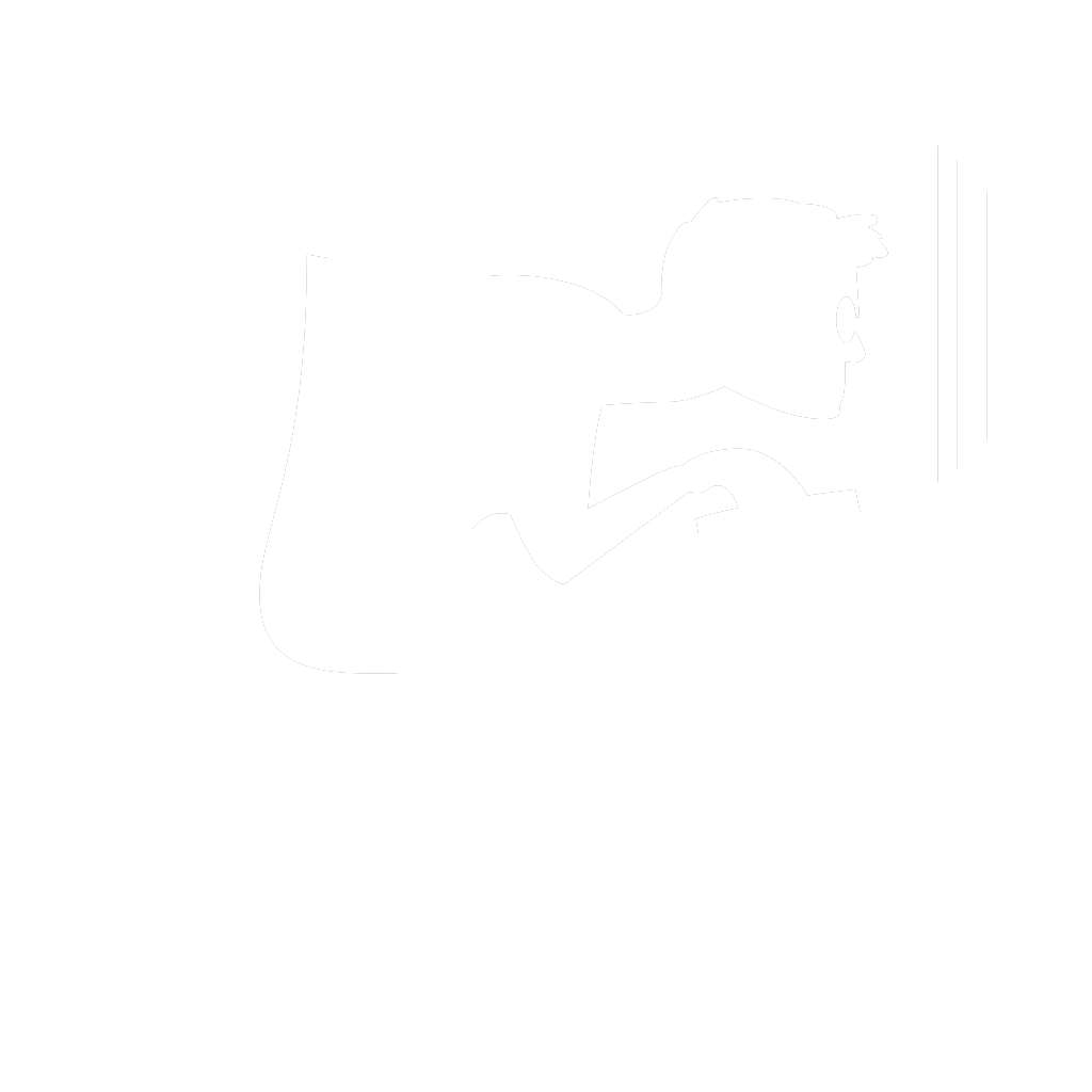 illegal studio